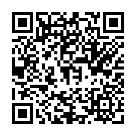 QR code for H313373