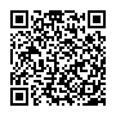 QR code for H31371