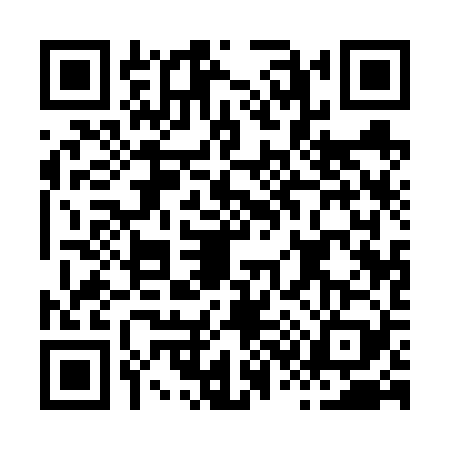 QR code for H316291