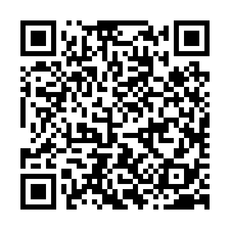 QR code for H32238