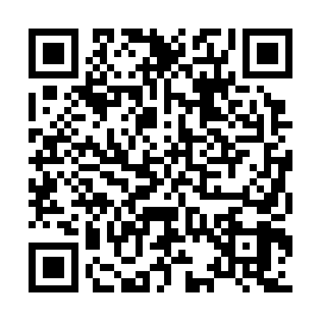 QR code for H323493