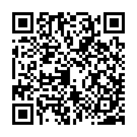 QR code for H323804