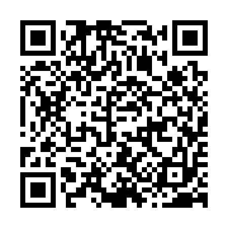 QR code for H33313