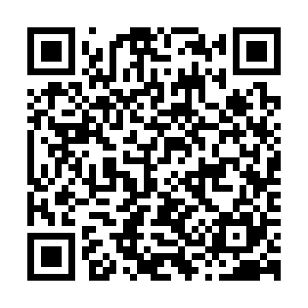 QR code for H33325