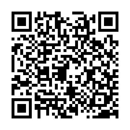 QR code for H333484
