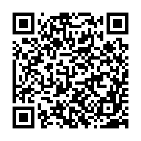 QR code for H33356