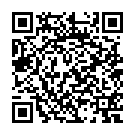 QR code for H335100