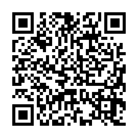 QR code for H335373