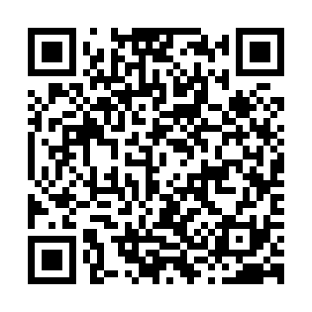 QR code for H33831