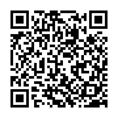 QR code for H33868
