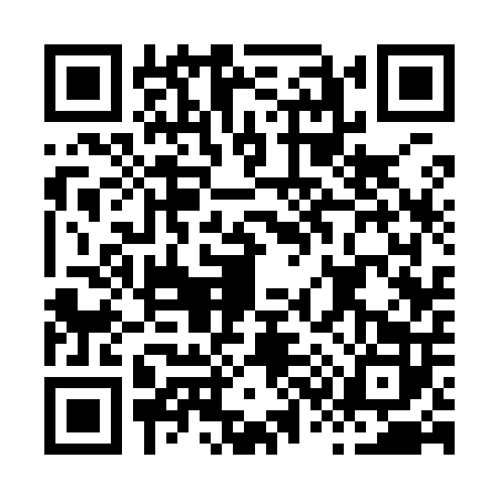 QR code for H339023