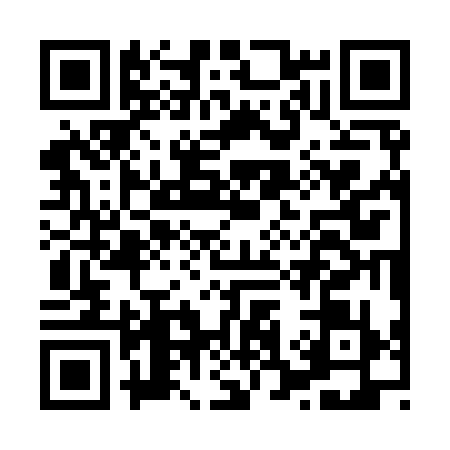 QR code for H339390