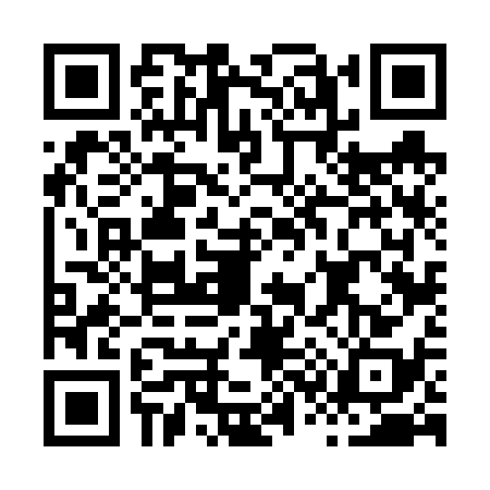 QR code for H366389