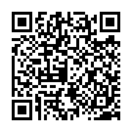QR code for H366979