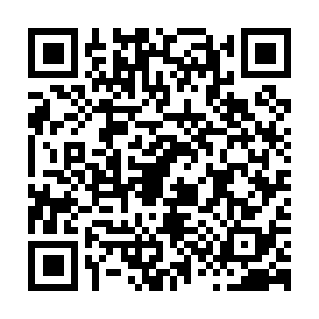 QR code for H370380