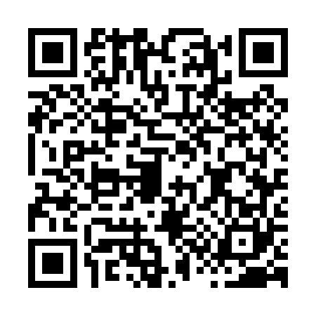 QR code for H370609