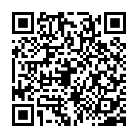 QR code for H370790