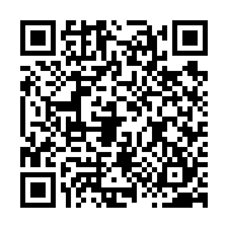 QR code for H376243