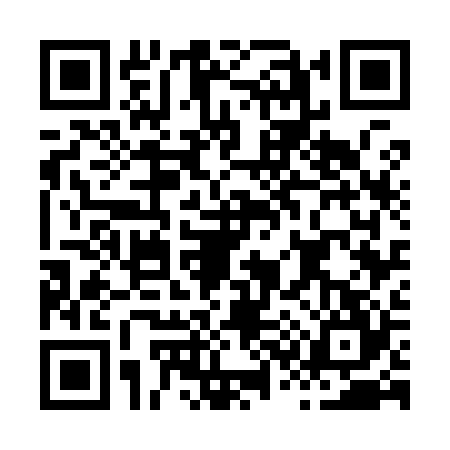 QR code for H379244