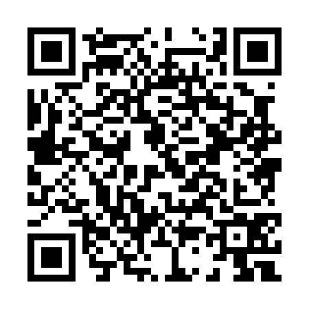 QR code for H380740