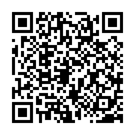 QR code for H381193