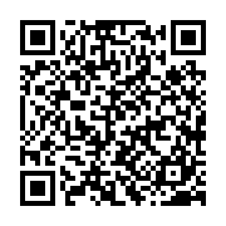 QR code for H38227
