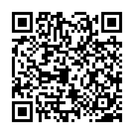 QR code for H382351