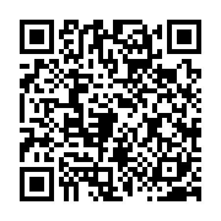 QR code for H383217