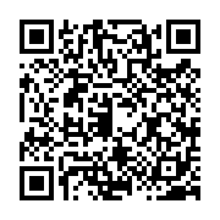 QR code for H384119