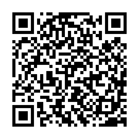 QR code for H38491