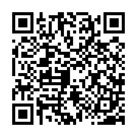 QR code for H385033