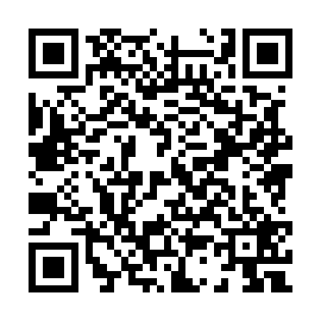 QR code for H385291
