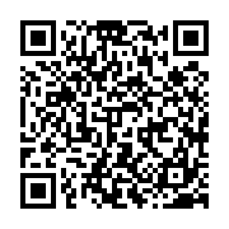 QR code for H38537