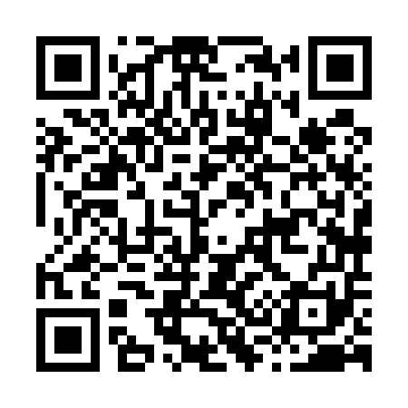QR code for H38551