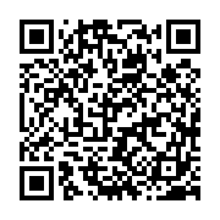 QR code for H38573