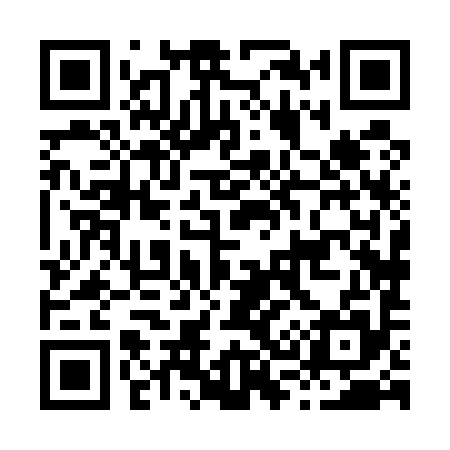 QR code for H38595