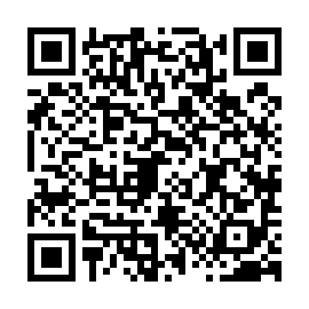QR code for H385980