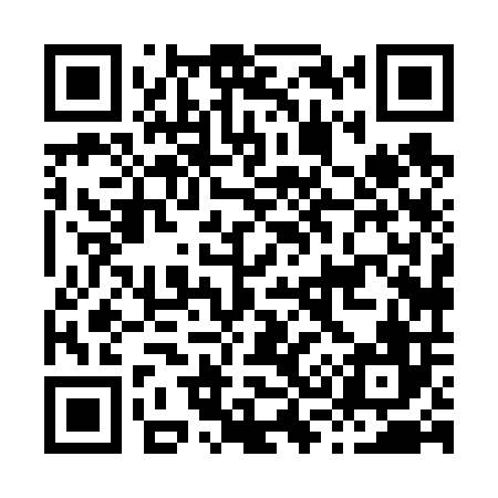 QR code for H38606