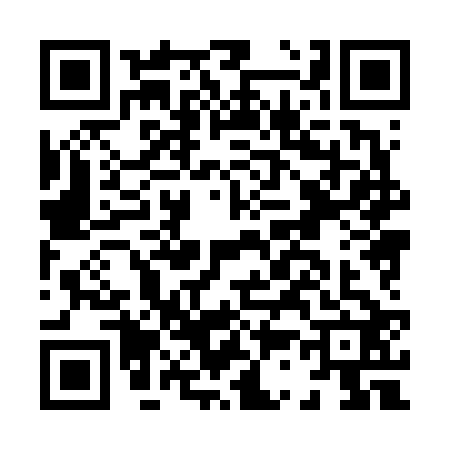 QR code for H386221
