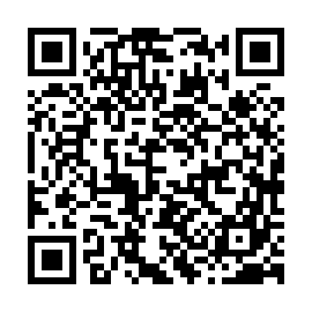 QR code for H38867