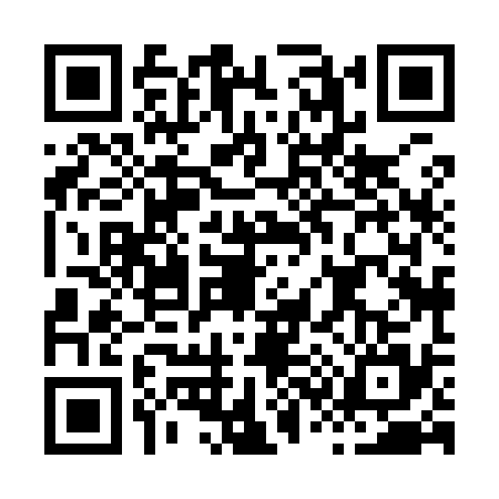 QR code for H389353