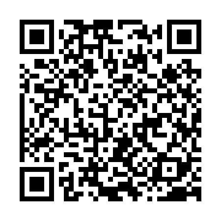 QR code for H39229