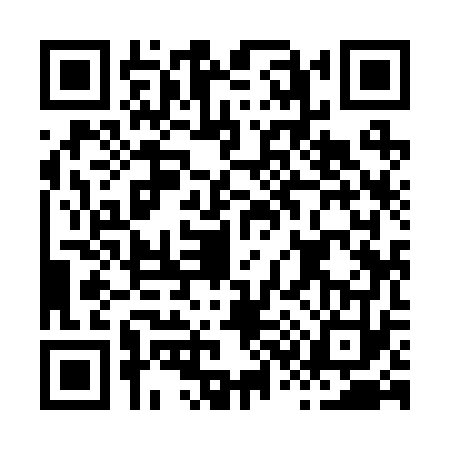 QR code for H392730