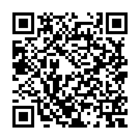 QR code for H398512