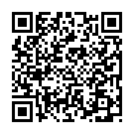 QR code for H399224