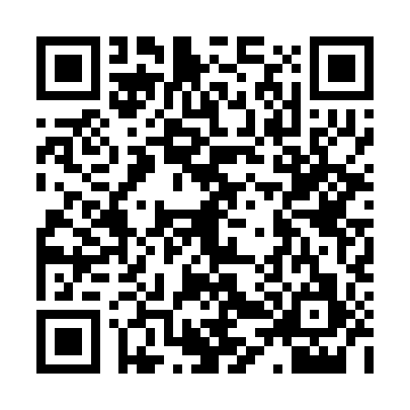 QR code for H402979