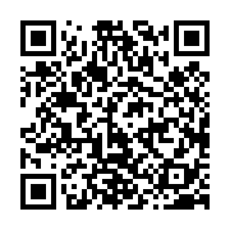 QR code for H40438