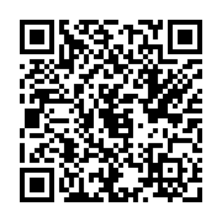 QR code for H409506
