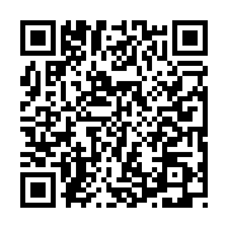 QR code for H410205