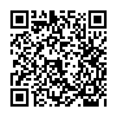 QR code for H410666